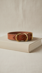 Italian Leather Collar with Brass Buckle