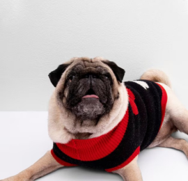 Elite Dog Products