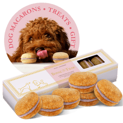 Box of 6 handmade natural dog macarons dog treats without artificial coloring or preservatives