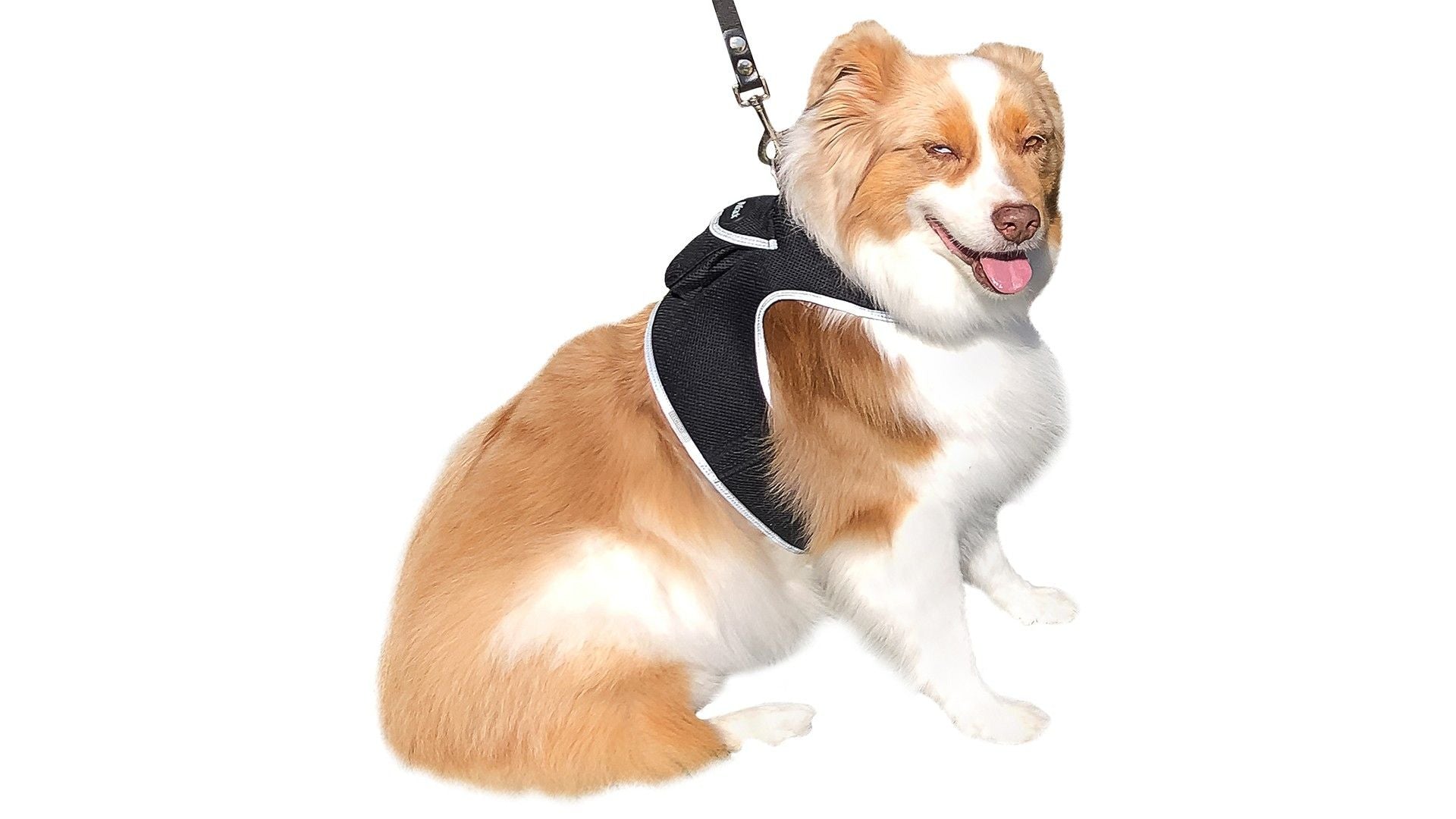 542971091