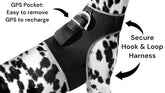 Mini dog tracking collar with rechargeable battery and sturdy exterior in large size