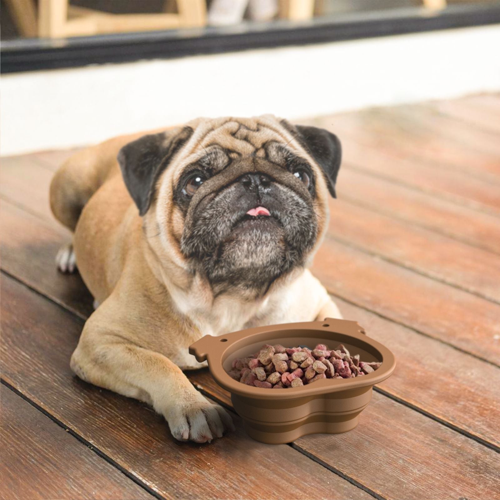 Silicone folding bowl portable dog feeder for outdoor travel and pet supplies