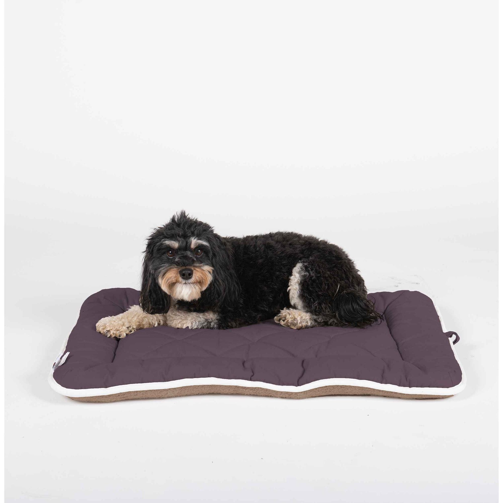 542984171