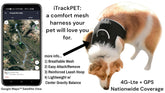 Battery Saver Mini waterproof GPS collar on breathable mesh harness for medium dogs with mobile app tracking
