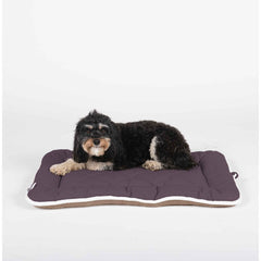 DGS Pet Products extra small sand cotton canvas pet sleeper cushion with Replez-It technology and quilted design
