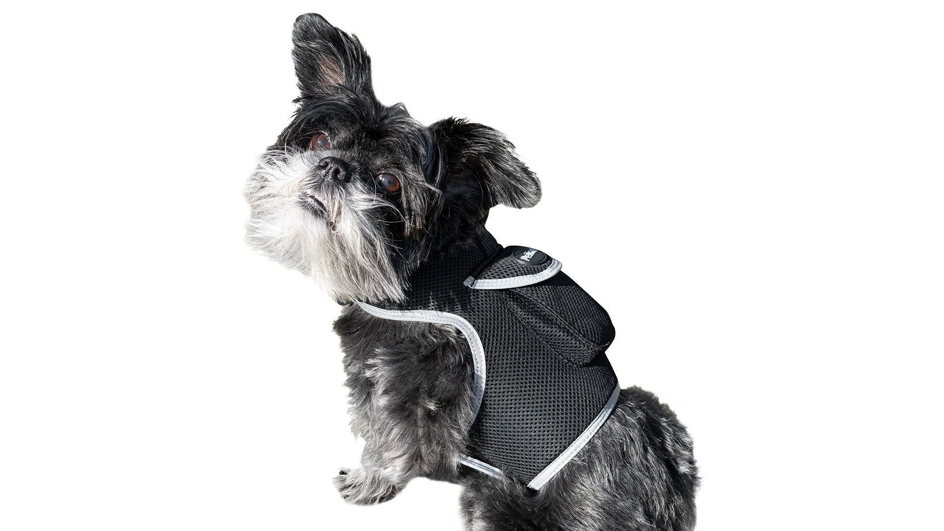 542941031