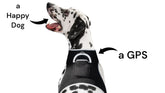 Mini waterproof GPS tracking collar XL size for hunting dogs with tracking app