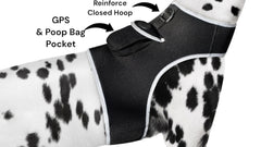 Global GPS Smallest Pet Tracker Large Size Waterproof Collar with GSM GPRS Locator for Dogs and Cats