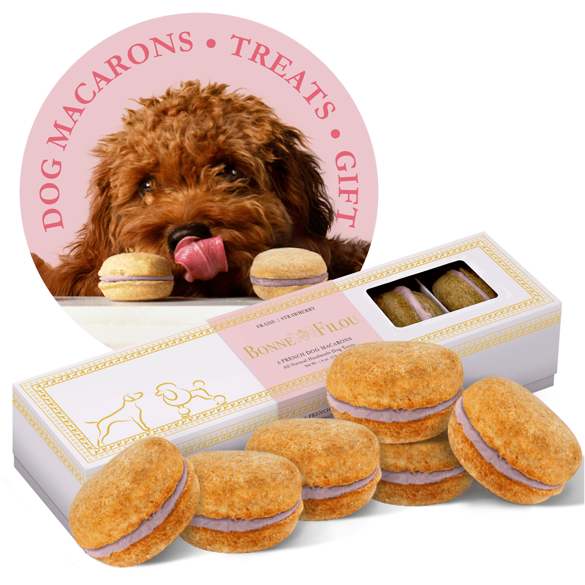Box of 6 handmade natural dog macarons dog treats without artificial coloring or preservatives
