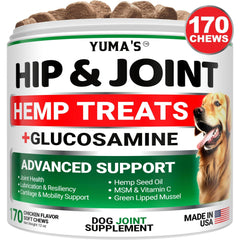 Hemp hip and joint supplement chews for dogs with glucosamine and MSM for joint pain relief and improved mobility