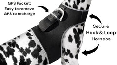 Mini dog tracking collar with rechargeable battery and sturdy exterior in large size