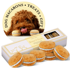 Box of 6 handmade dog macarons natural long-lasting chew treats