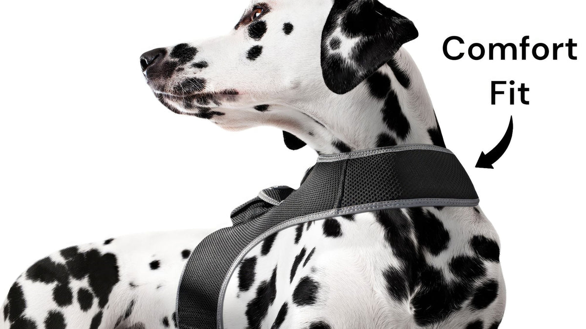 Low maintenance waterproof GPS pet tracking harness size large on dog