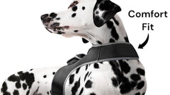 Low maintenance waterproof GPS pet tracking harness size large on dog