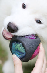 Pet rubber bouncing light-up squeaky chew toy for dogs in irregular shapes