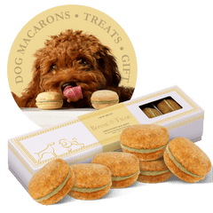 Box of 6 handmade, natural Dog Macarons treats with yogurt filling for long-lasting chew