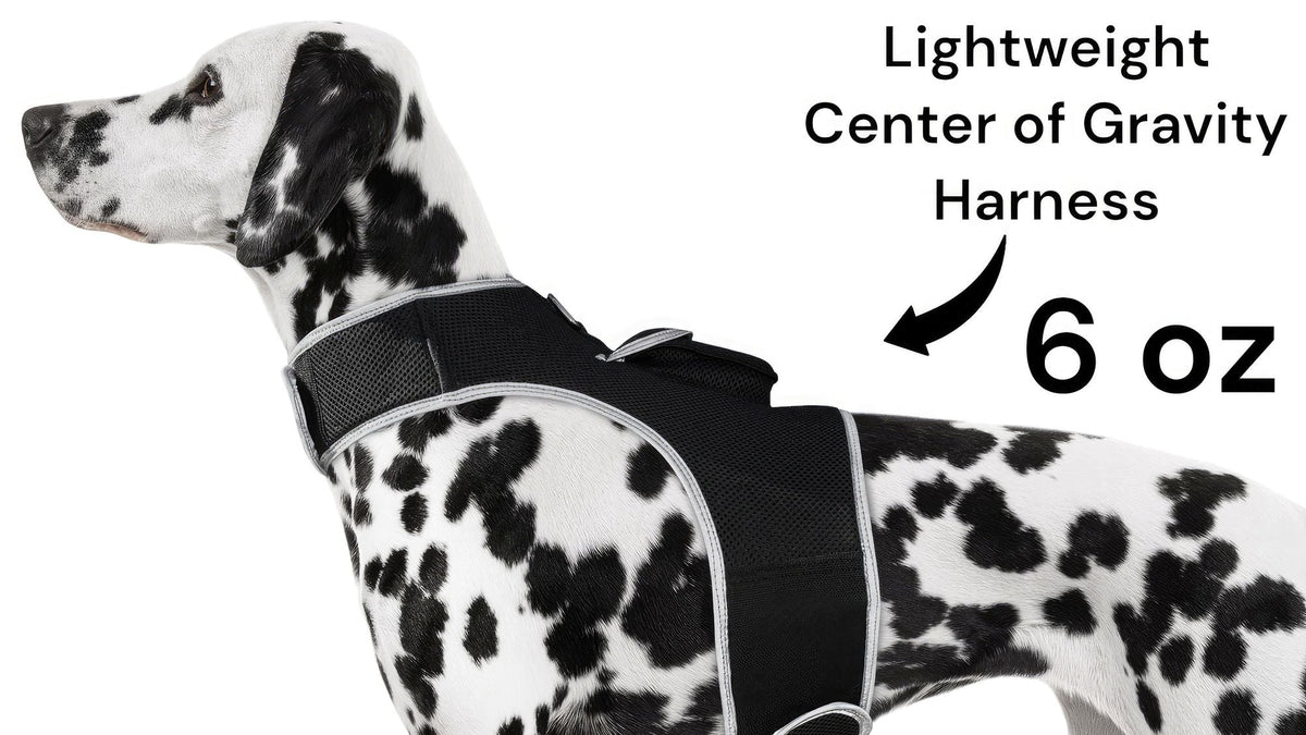 Large Pet Tracker GPS Tracking Collar on a comfortable mesh harness for hunting dogs