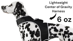 Large Pet Tracker GPS Tracking Collar on a comfortable mesh harness for hunting dogs