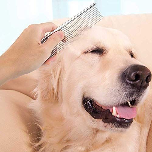 2 pack stainless steel dog combs with rounded ends for detangling and grooming pets