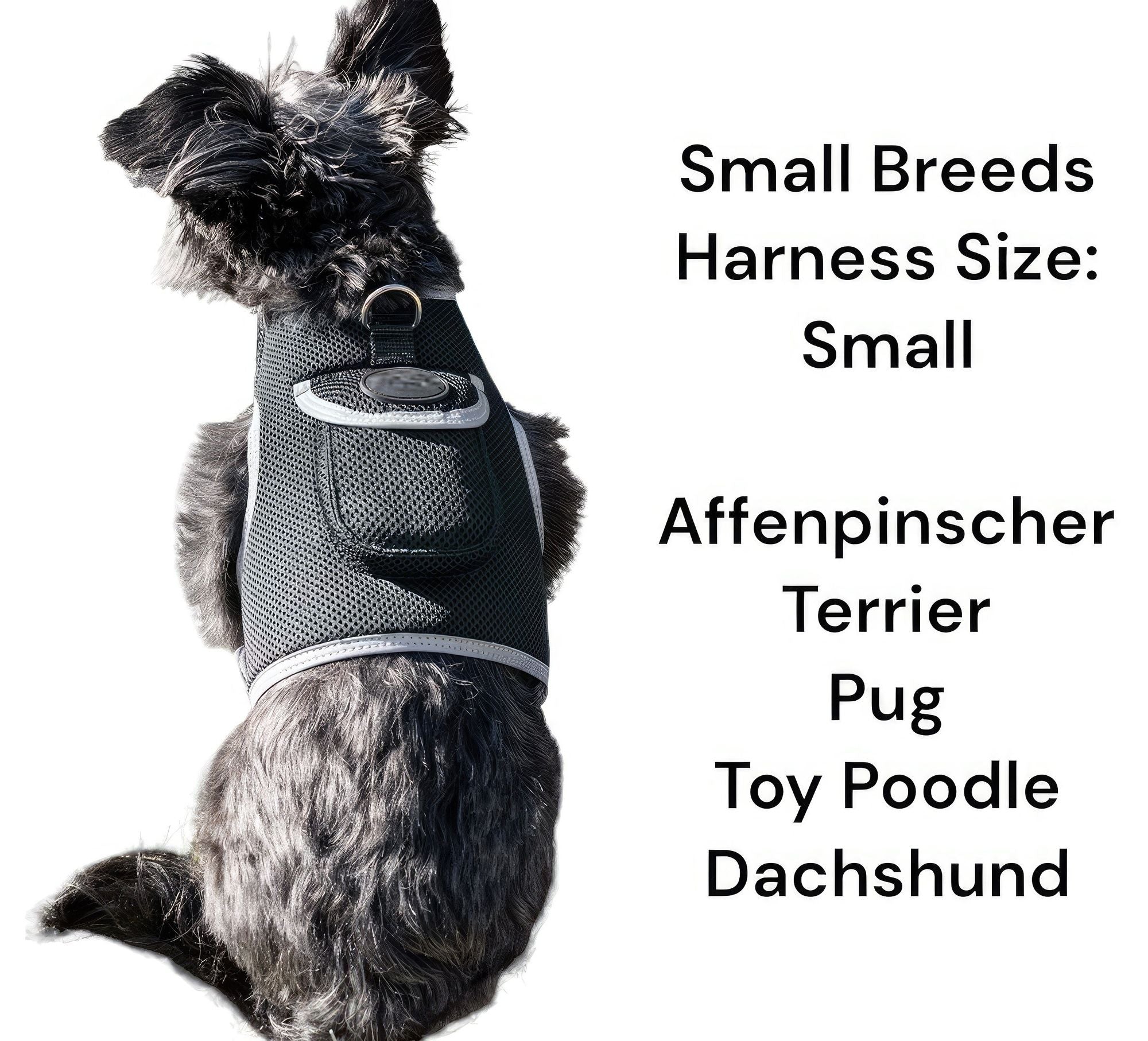 Medium size Pet Tracker GPS tracking collar on a lightweight breathable mesh harness for hunting dogs